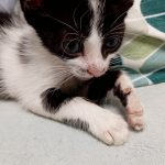 IMG-20250716-WA0050(3)