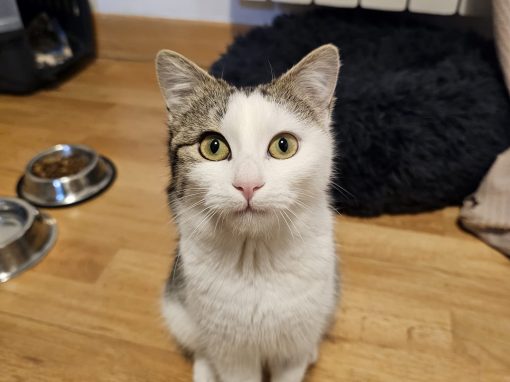 WhatsApp Image 2026-02-23 at 18.19.21